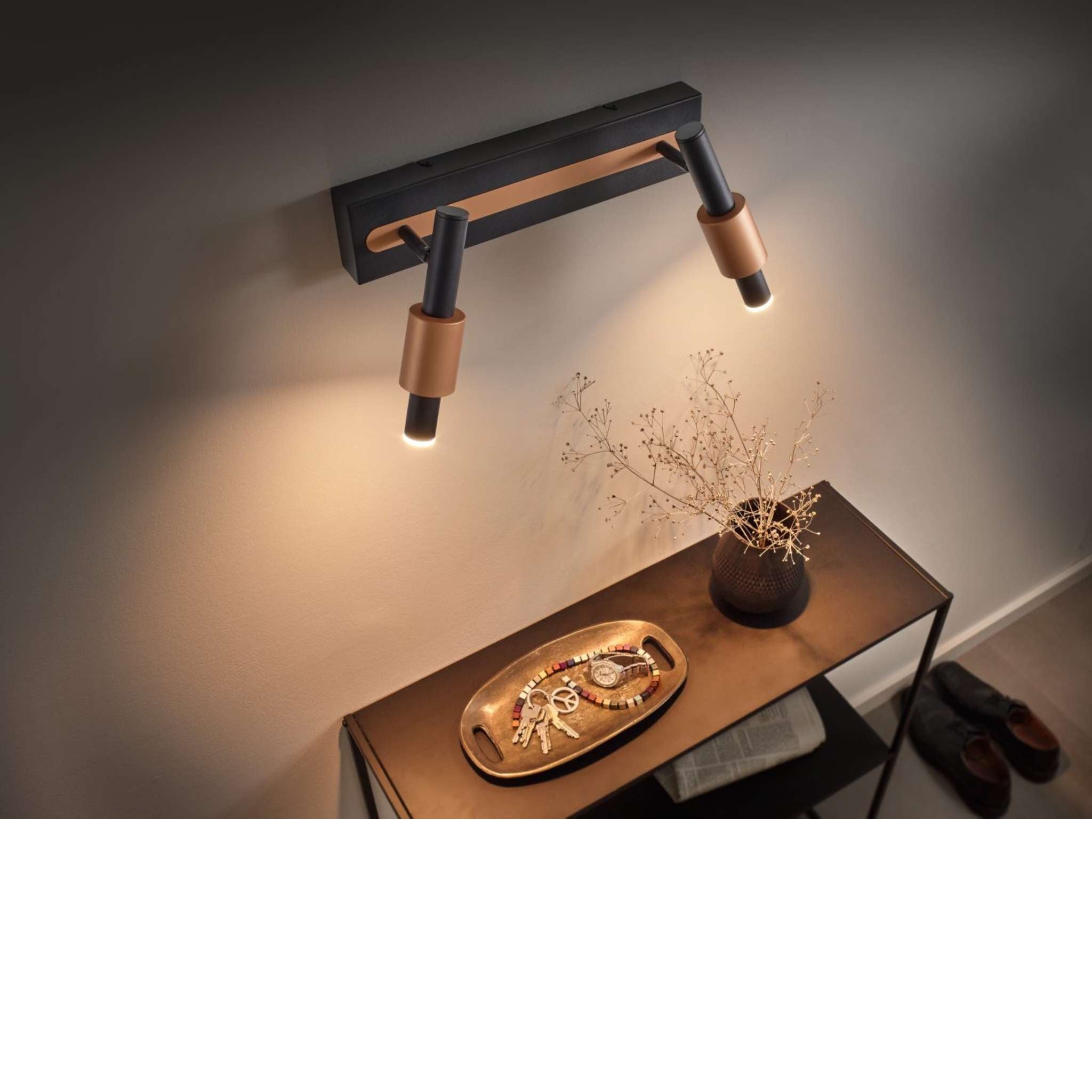 TRIO Ikaris LED spotlight 2-piece - matte black/coffee